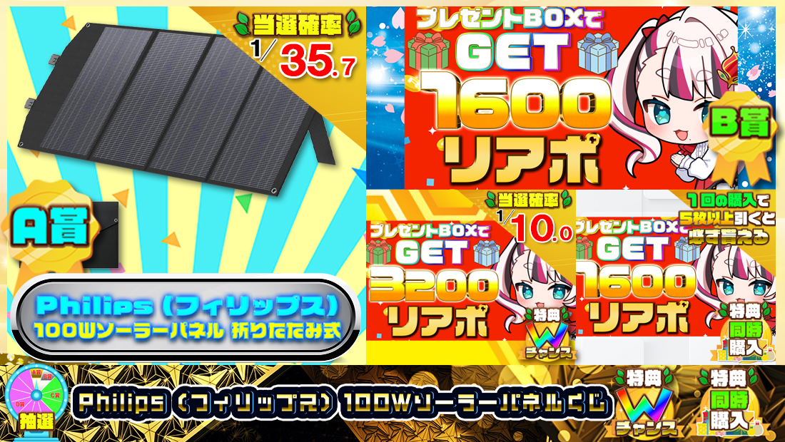 Philips (フィリップス) 100Ｗソーラーパネルくじ【１６００円】の画像