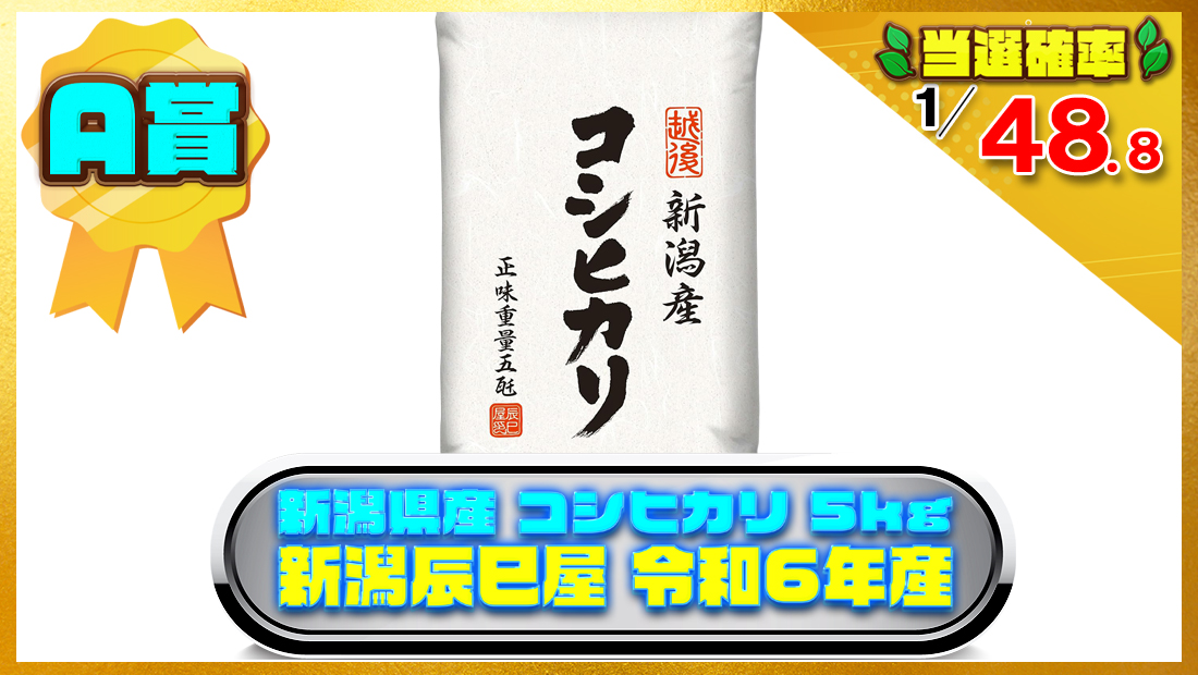 [精米] 新潟県産 コシヒカリ 5kg 白米 新潟辰巳屋 令和6年産の画像