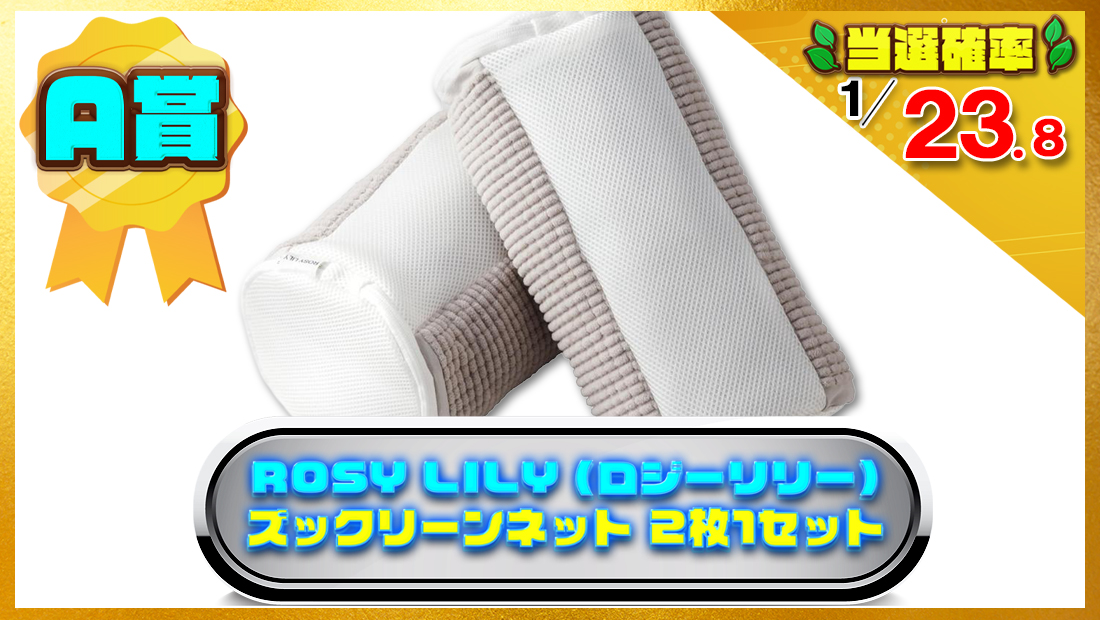 ROSY LILY (ロジーリリー) ズックリーンネット 2枚1セットの画像