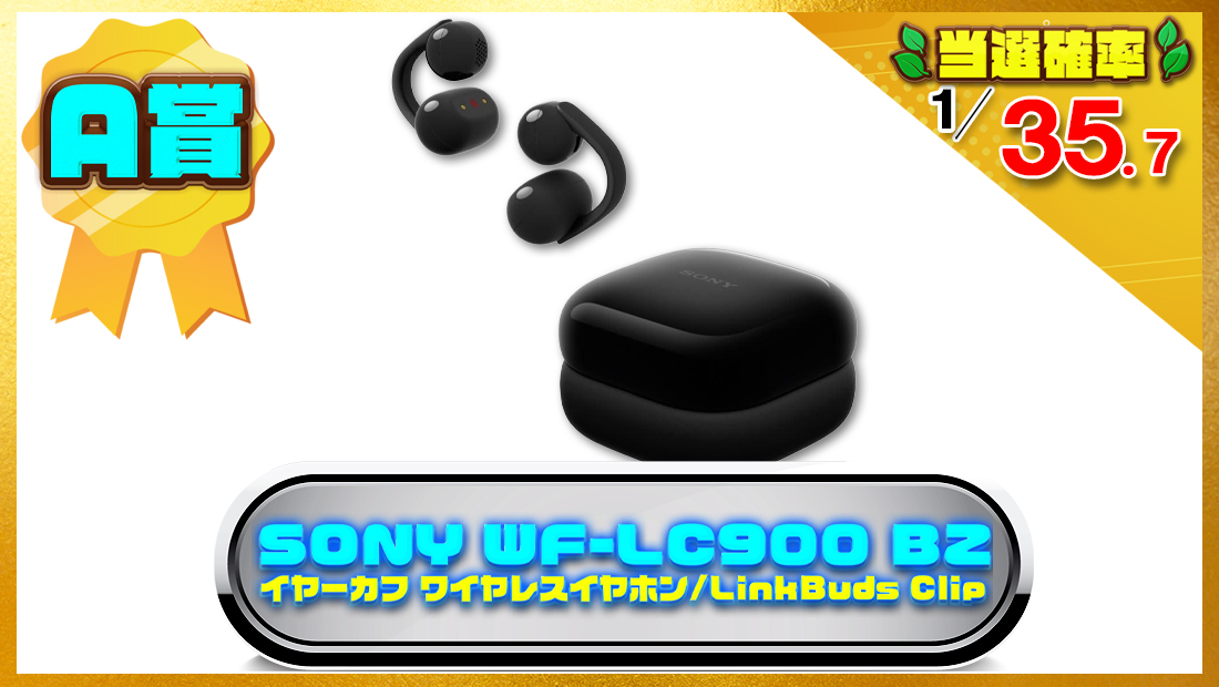 ソニー(SONY) WF-LC900 BZ/イヤーカフ ワイヤレスイヤホンの画像