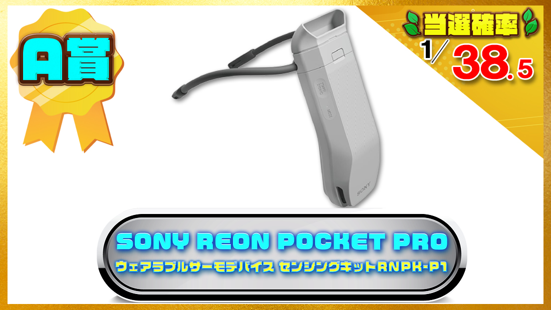 ソニー(SONY) REON POCKET PRO (レオンポケットプロ)の画像
