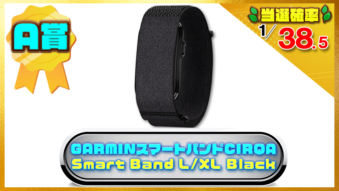 GARMIN(ガーミン)スマートバンドCIRQA Smart Band L/XL Blackの画像